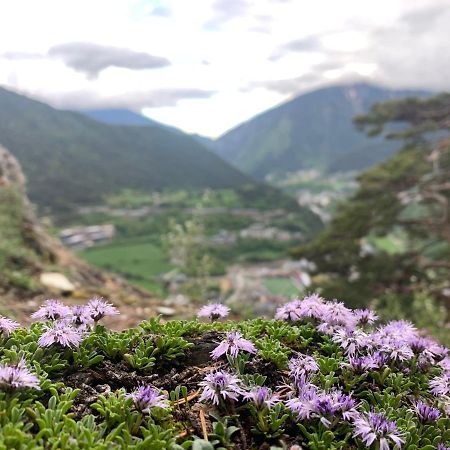 Maians - Peu Del Riu 122 - Vall D'Incles - Soldeu 외부 사진
