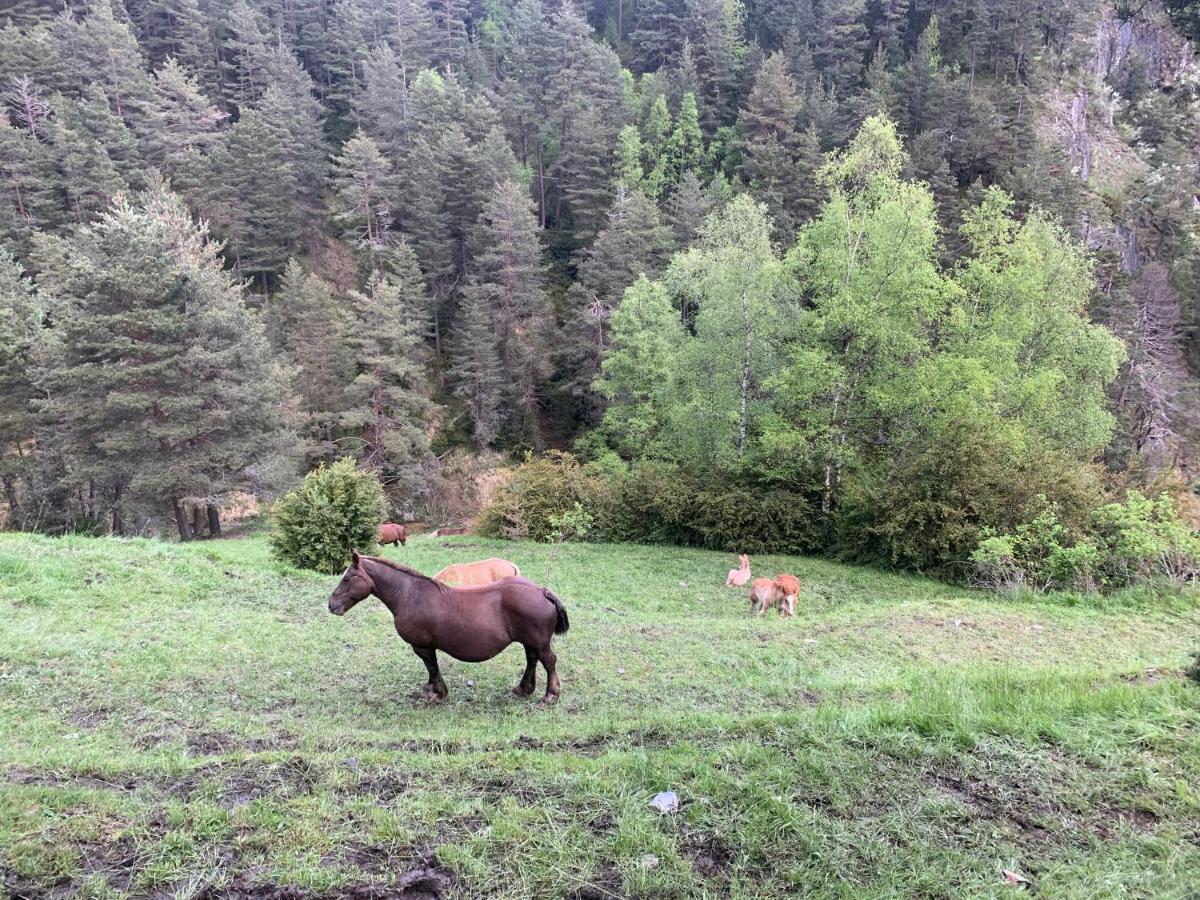 Maians - Peu Del Riu 122 - Vall D'Incles - Soldeu 외부 사진
