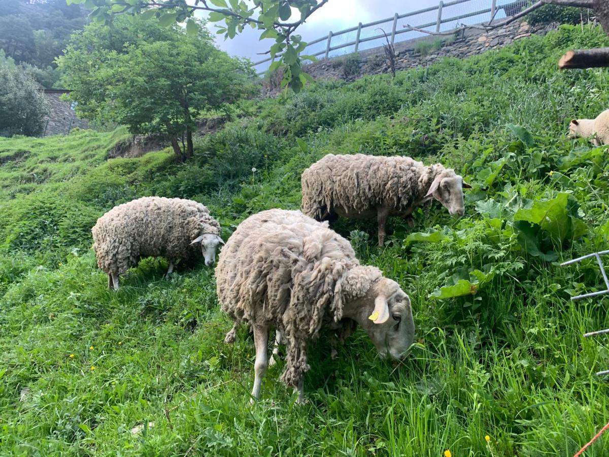 Maians - Peu Del Riu 122 - Vall D'Incles - Soldeu 외부 사진